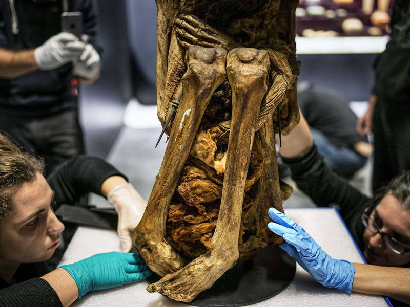 Illustration for article titled This Incredible Peruvian Mummy Is About To Go On Public Display